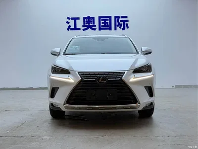 2018 Lexus NX Model 200 AWD Fengshang Edition China V, фото 2, лот 10403242