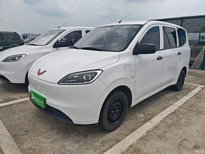 2024 Wuling Motors Wuling Hongguang New Energy Model Pure Electric 300KM Utility Version, фото 1, лот 11167166