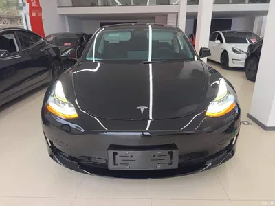 2021 Tesla Model 3 Standard Range Rear-Wheel Drive Upgrade, фото 3, лот 10369684