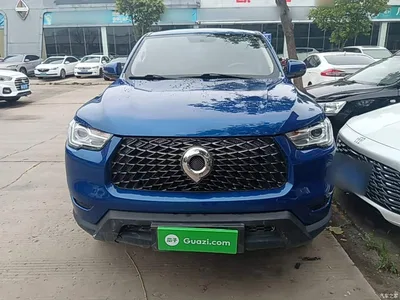 2021 Great Wall Pao 2.0T Commercial Edition Automatic Diesel 2WD Elite Long Box GW4D20M, фото 3, лот 10248839
