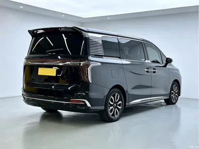 2023 Hongqi HQ9 2.0T Smart Connect Flag Smooth Edition, фото 4, лот 10289080