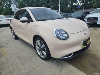 2021 Ora Good Cat 400km Standard Range Muse Edition (LFP), фото 3, лот 10331458