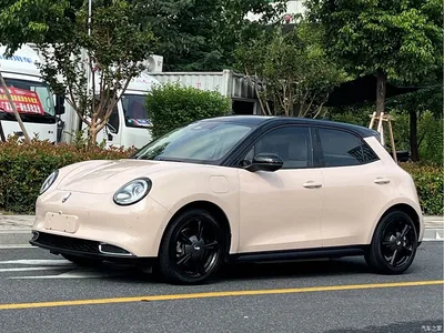 2021 Ora Good Cat 400km Standard Range Athena Edition (LFP), фото 1, лот 10405490