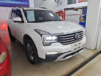 2017 GAC Trumpchi Trumpchi GS8 320T 2WD Luxury Smart Connect (7-seater), фото 4, лот 10421704