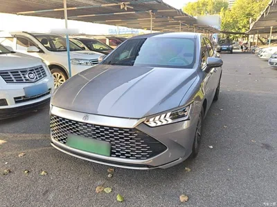 2023 BYD Qin PLUS Champion Edition DM-i 55KM Leading, фото 2, лот 10362704