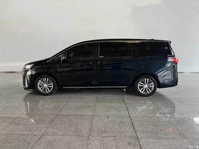 2023 Buick GL8 ES Landmaster Exclusive, фото 2, лот 11189291
