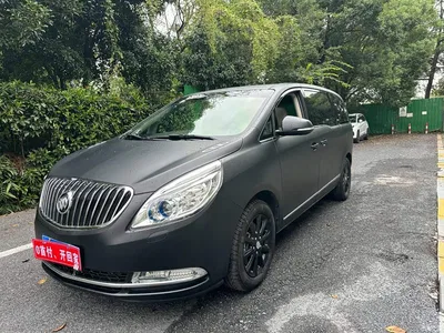 2011 Buick GL8 3.0L GT Luxury Business Elegance Edition, фото 1, лот 11222017
