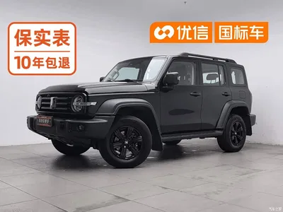 2023 Tank 300 Off-Road Edition 2.0T Conqueror, фото 1, лот 10768425