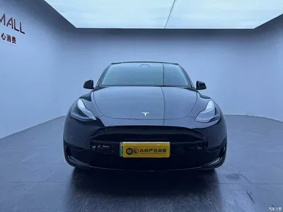 2022 Tesla Model Y Facelift Rear-Wheel Drive Version, фото 2, лот 10392811