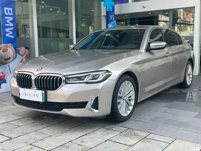 2021 BMW 5 Series New Energy 535Le Luxury Package, фото 1, лот 10474370
