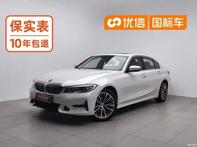 2020 BMW 3 Series 325Li Launch Edition, фото 1, лот 11481298