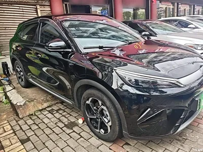 2025 BYD Yuan PLUS Smart Drive Edition 430KM Leading, фото 4, лот 10259975