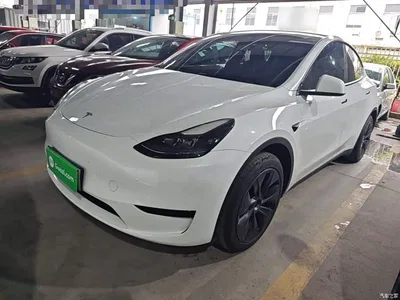 2024 Tesla Model Y Rear-Wheel Drive Version, фото 1, лот 10370111