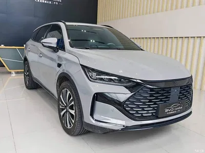 2026 BYD Tang New Energy DM-i 115KM Premium, фото 3, лот 11568085