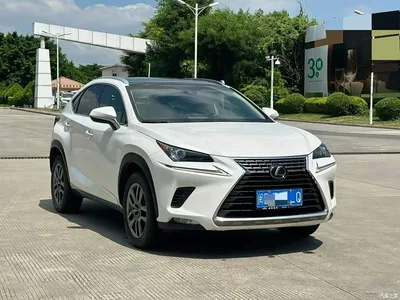 2018 Lexus NX Model 300 AWD Fengshang Edition, фото 3, лот 10479054