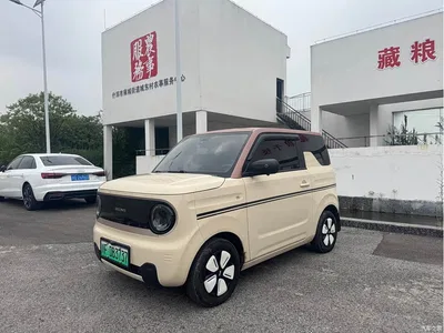 2023 Geely Galaxy Panda Mini 200km Endurance Bear, фото 1, лот 11225138