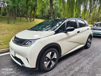 2023 BYD Dolphin 420km Fashion Edition, фото 1, лот 10256992