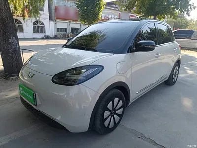 2024 Wuling Motors Wuling Bingo 333km Smart Connect Edition, фото 1, лот 11174993