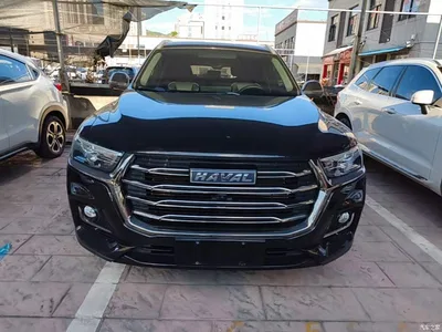2021 Haval H6 National Trend Edition 1.5GDIT Automatic Champion Edition, фото 3, лот 10285288