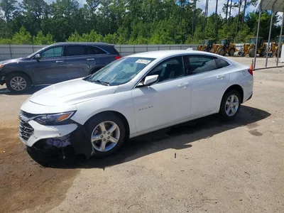 2024 CHEVROLET MALIBU LT, фото 1, лот 10712566