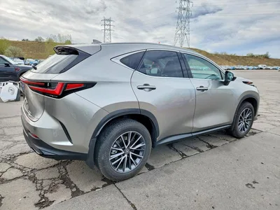2025 LEXUS NX 350H PREMIUM, фото 3, лот 10899973