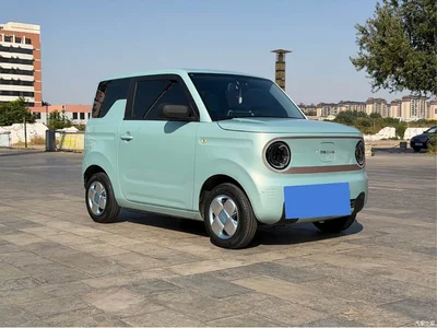 2023 Geely Galaxy Panda Mini 200km Endurance Bear, фото 3, лот 11534708