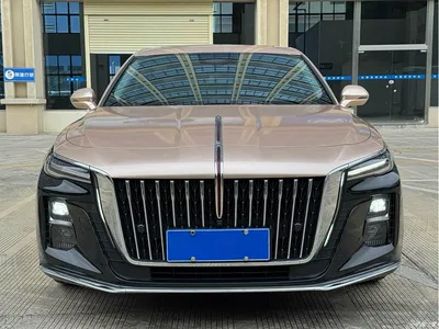2023 Hongqi H5 2.0T Auto Smart Connect Flag Comfort, фото 2, лот 10289011