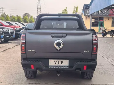 2023 Great Wall Pao 2.0T Off-Road Edition Automatic Gasoline 4WD Everest Edition, фото 4, лот 10894574