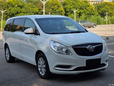 2017 Buick GL8, фото 3, лот 10245274