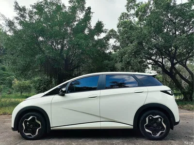 2021 BYD Dolphin Model 405km Fashion Edition, фото 4, лот 10255874