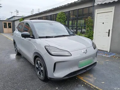2024 Wuling Motors Wuling Binguo PLUS 510km Range 5-seater, фото 4, лот 10836367
