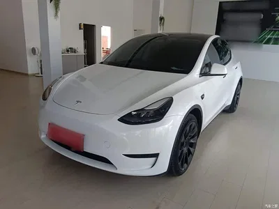 2024 Tesla Model Y Rear-Wheel Drive Version, фото 1, лот 10434984