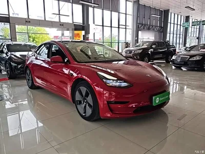 2021 Tesla Model 3 Standard Range Rear-Wheel Drive Upgrade 3D6, фото 4, лот 10376524