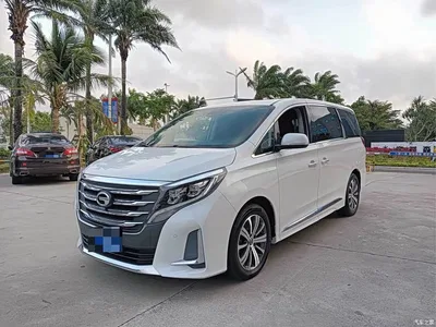 2020 GAC Trumpchi Trumpchi M8 Pilot 390T Prestige Edition, фото 1, лот 10419763
