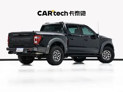 2023 Ford F-150 Raptor 3.5T Raptor, фото 4, лот 10293233