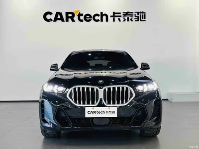 2023 BMW X6 xDrive30i M Sport Package, фото 2, лот 10468985