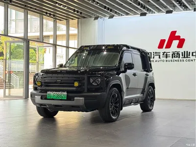 2024 Haval Meng Long NEV Hi4 145 Cross-country Edition, фото 1, лот 10299763
