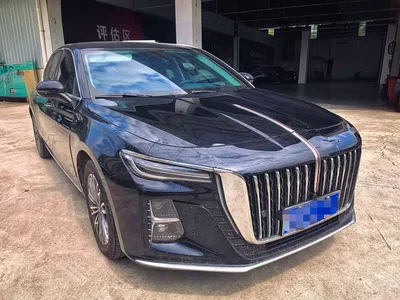 2023 Hongqi H5 1.5T DCT Smart Connect Joy Edition, фото 3, лот 10288441