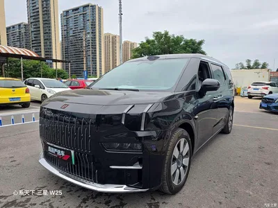 2024 ZEEKR 009 7-Seat Aisle AWD Version 108kWh, фото 1, лот 10291871