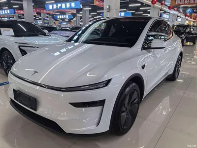 2026 Tesla Model Y Rear-Wheel Drive, фото 1, лот 11211887