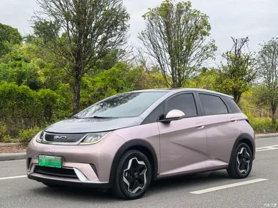 2021 BYD Dolphin Model 405km Fashion Edition, фото 1, лот 10448831