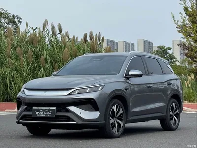 2025 BYD Song Pro New Energy 2nd Generation Smart Driving Edition DM-i 115KM Excellence Type, фото 1, лот 10621376