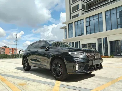 2021 WEY VV7 Model 2.0T Technology Edition, фото 3, лот 10886944