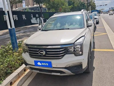 2017 GAC Trumpchi Trumpchi GS8 320T 2WD Luxury Smart Connect (7-seater), фото 3, лот 11202862