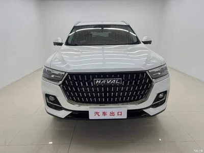 2023 Haval H6 National Trend Edition 1.5T Automatic Champion, фото 2, лот 10270814