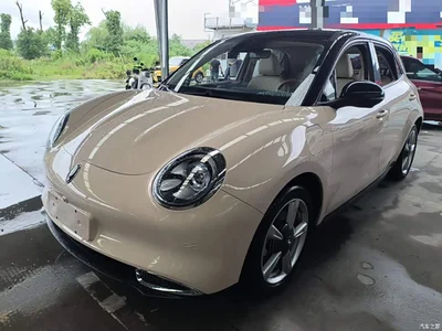 2022 Ora Good Cat Model Morandi Edition 400km Standard Range Luxury LFP, фото 2, лот 10330580