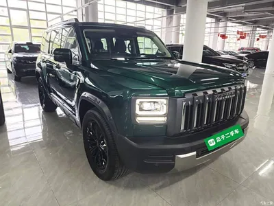 2025 Haval Menglong 2.0T 4WD Ultra, фото 4, лот 11242743