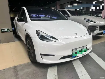2021 Tesla Model Y Model Long Range AWD, фото 3, лот 11188861
