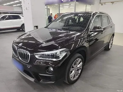 2019 BMW X1 sDrive20Li Leading Model, фото 2, лот 10606711