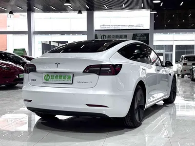 2021 Tesla Model 3 Standard Range Rear-Wheel Drive Upgrade 3D6, фото 3, лот 10356674